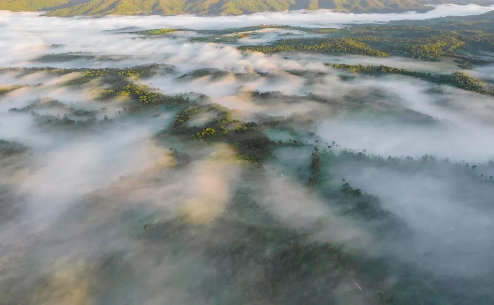 Làn mây bồng bềnh phủ các cánh rừng