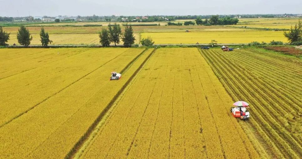 Ngành nông nghiệp hướng tới mốc xuất khẩu 100 tỷ USD