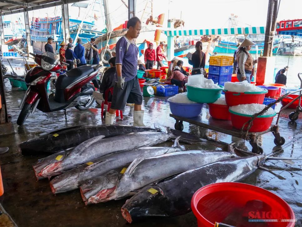 Ngư dân vui mừng khi chuyến biển xuyên tết đánh được nhiều cá lớn bán được giá. Ảnh: HIẾU GIANG