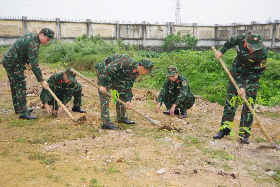 Bộ Chỉ huy Quân sự tỉnh Hà Tĩnh ra quân trồng cây xanh các loại