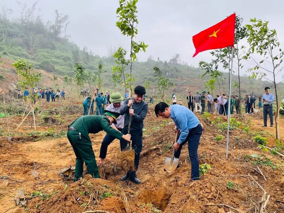 Hà Tĩnh, Nghệ An trồng mới hàng triệu cây xanh trong năm 2026