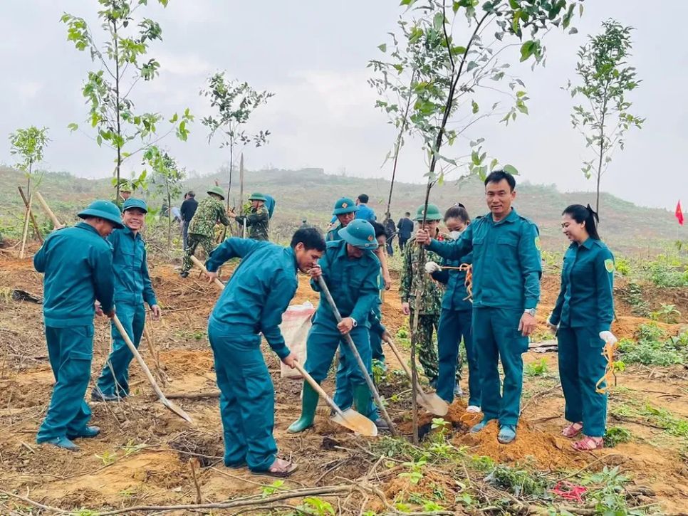 Hà Tĩnh, Nghệ An trồng mới hàng triệu cây xanh trong năm 2026