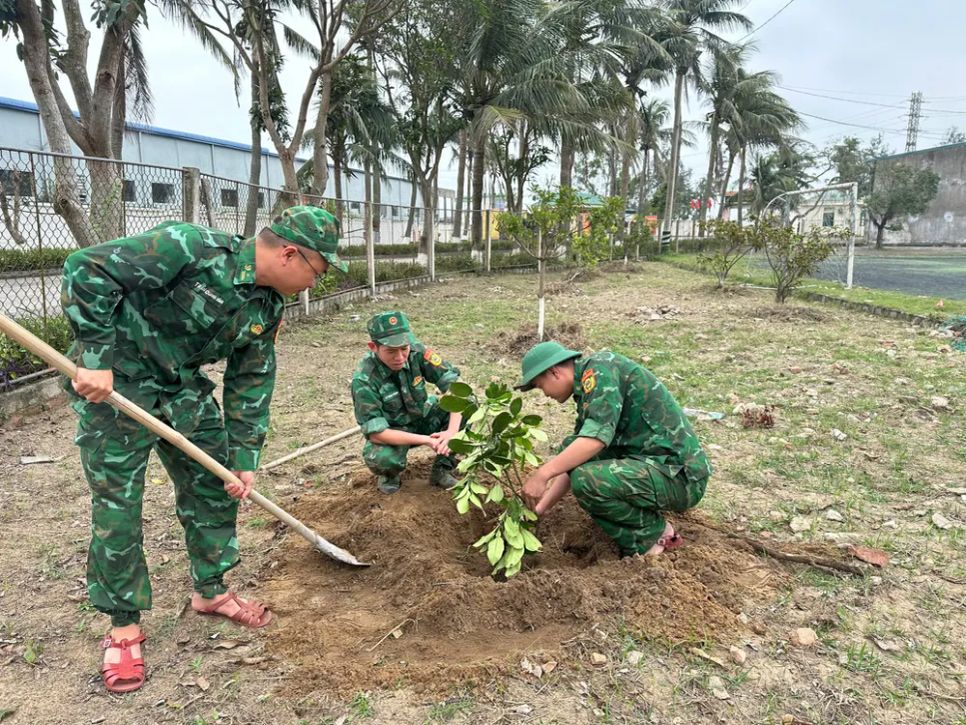 Hà Tĩnh, Nghệ An trồng mới hàng triệu cây xanh trong năm 2026