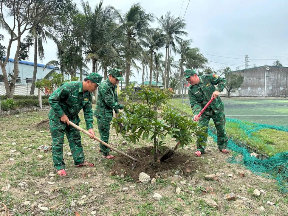 Hà Tĩnh, Nghệ An trồng mới hàng triệu cây xanh trong năm 2026