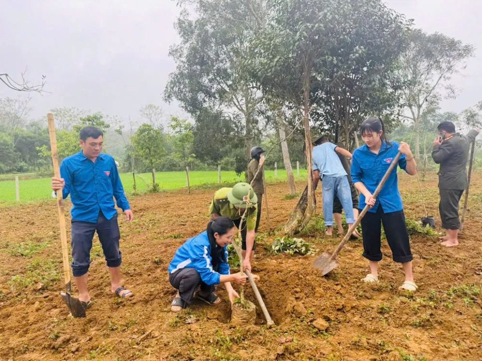 Hà Tĩnh, Nghệ An trồng mới hàng triệu cây xanh trong năm 2026