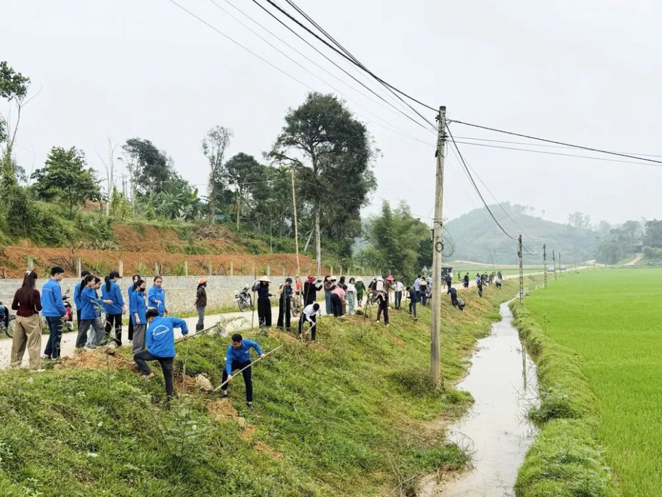 Hà Tĩnh, Nghệ An trồng mới hàng triệu cây xanh trong năm 2026