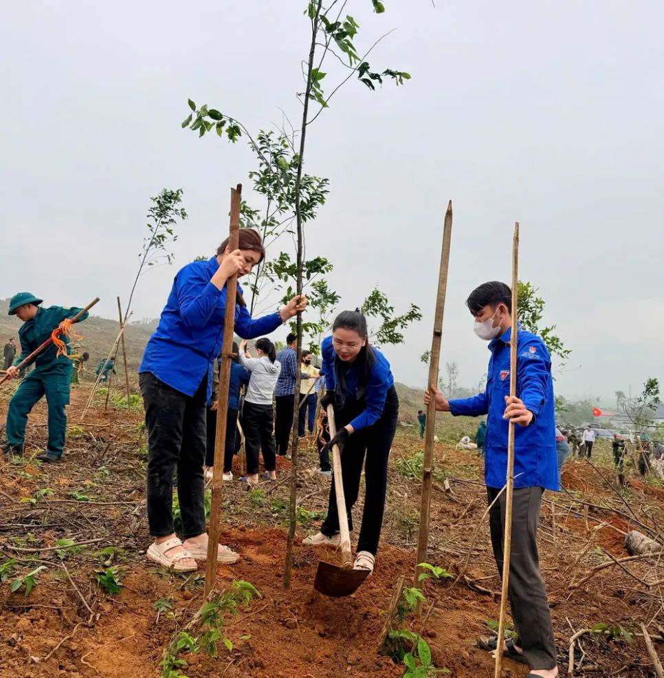 Hà Tĩnh, Nghệ An trồng mới hàng triệu cây xanh trong năm 2026