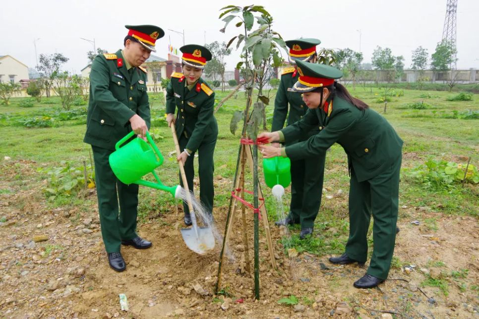 Hà Tĩnh, Nghệ An trồng mới hàng triệu cây xanh trong năm 2026
