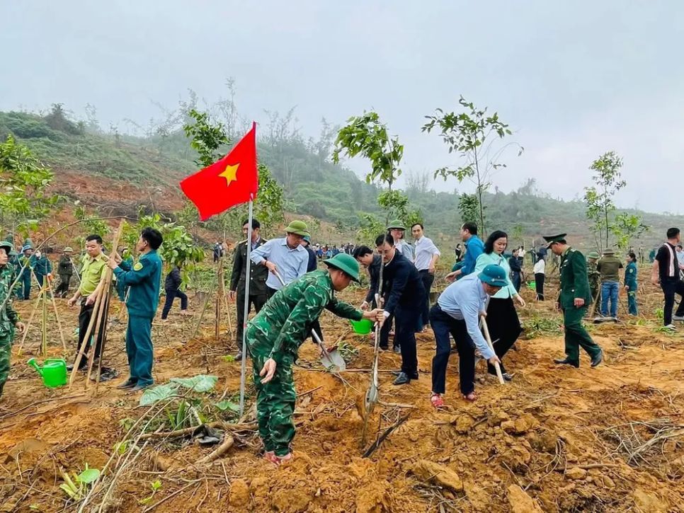 Hà Tĩnh, Nghệ An trồng mới hàng triệu cây xanh trong năm 2026