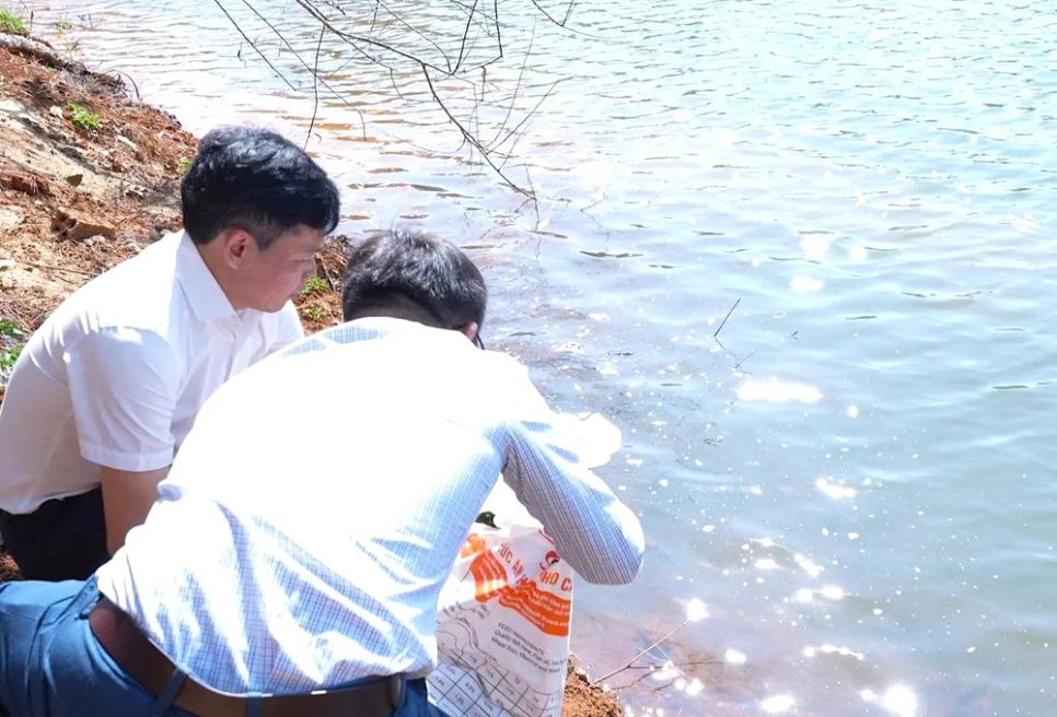 Ông Đặng Quang Hà (ngoài cùng bên trái), Bí thư Đảng ủy xã Măng Đen, trực tiếp thả cá xuống hồ Đăk Ke Ông Đặng Quang Hà (ngoài cùng bên trái), Bí thư Đảng ủy xã Măng Đen, trực tiếp thả cá xuống hồ Đăk Ke