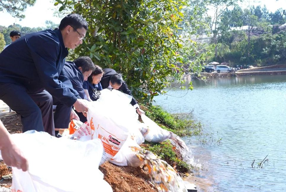 Thả cá xuống hồ Đăk Ke Thả cá xuống hồ Đăk Ke