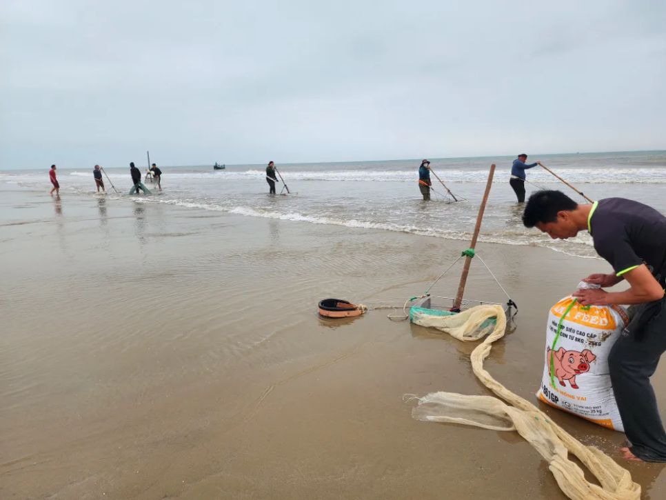 Người dân cào ốc tép sau tết Người dân cào ốc tép sau tết