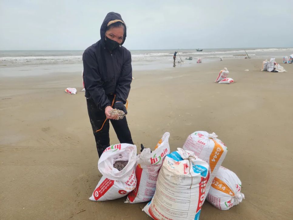 Người dân đưa ốc tép vào bờ Người dân đưa ốc tép vào bờ