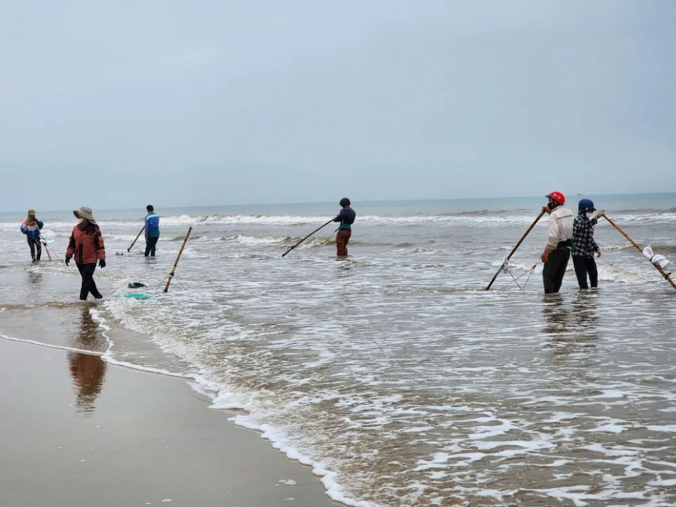 Người dân dùng cào tự chế để cào ốc tép dọc bờ biển Người dân dùng cào tự chế để cào ốc tép dọc bờ biển