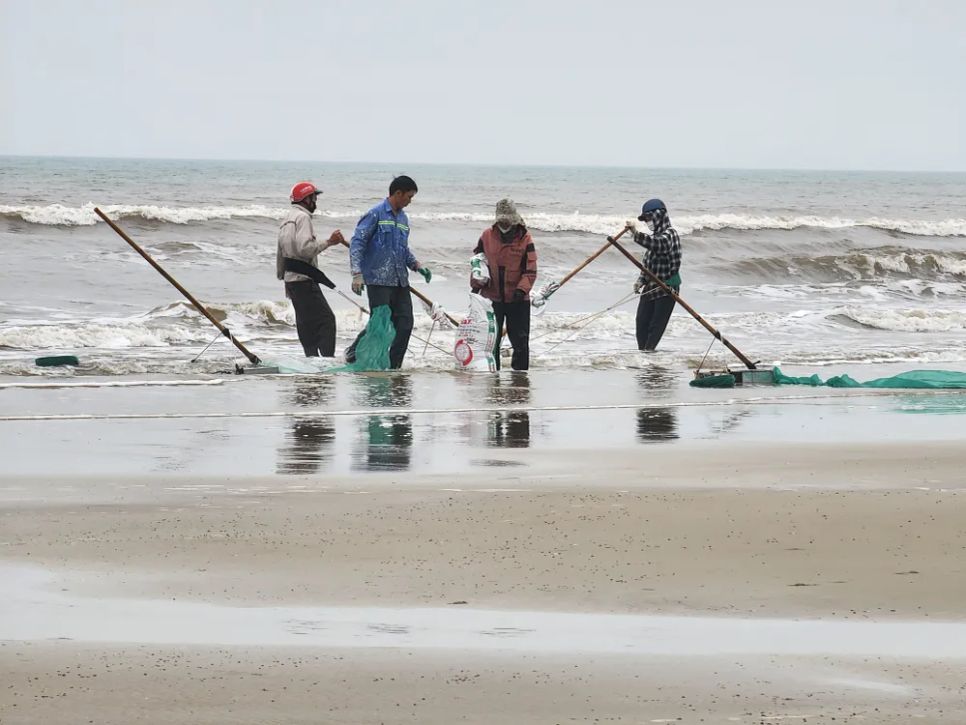 Ốc tép dạt vào bờ biển, người dân đua nhau cào bán cho thương lái Ốc tép dạt vào bờ biển, người dân đua nhau cào bán cho thương lái