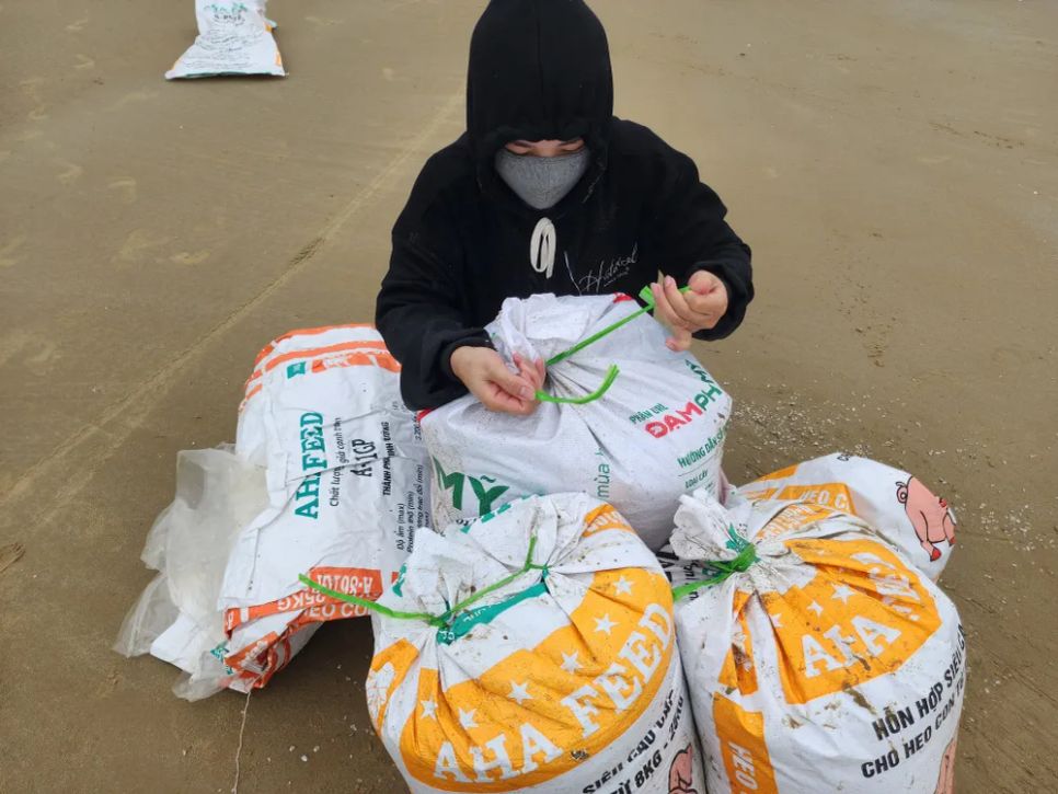 Ốc tép dạt vào bờ biển, người dân đua nhau cào bán cho thương lái Ốc tép dạt vào bờ biển, người dân đua nhau cào bán cho thương lái