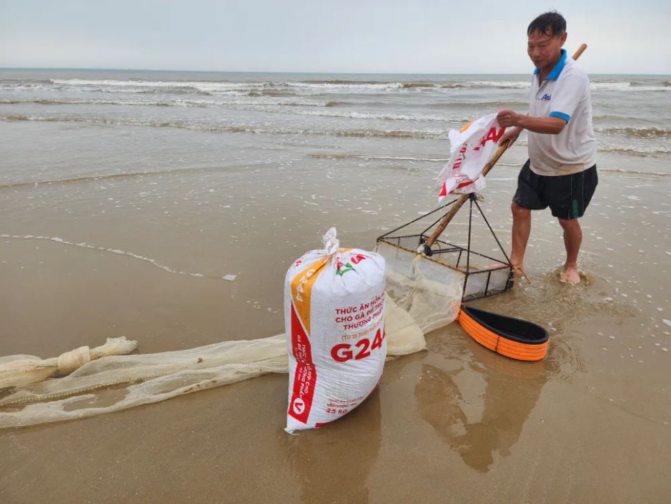 Ốc tép dạt vào bờ biển, người dân đua nhau cào bán cho thương lái Ốc tép dạt vào bờ biển, người dân đua nhau cào bán cho thương lái