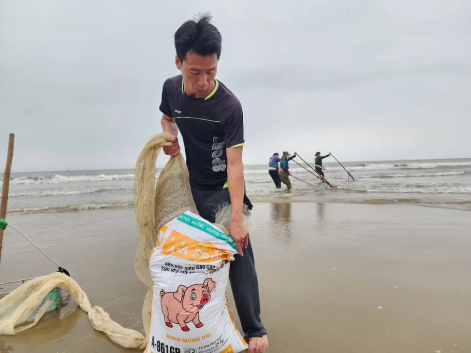 Ốc tép dạt vào bờ biển, người dân đua nhau cào bán cho thương lái Ốc tép dạt vào bờ biển, người dân đua nhau cào bán cho thương lái