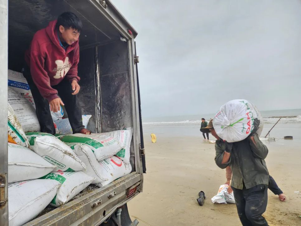 Ốc tép dạt vào bờ biển, người dân đua nhau cào bán cho thương lái Ốc tép dạt vào bờ biển, người dân đua nhau cào bán cho thương lái