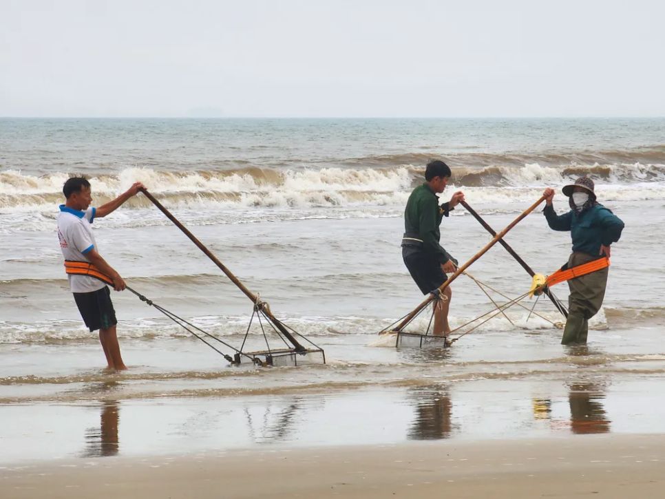 Ốc tép dạt vào bờ biển, người dân đua nhau cào bán cho thương lái Ốc tép dạt vào bờ biển, người dân đua nhau cào bán cho thương lái