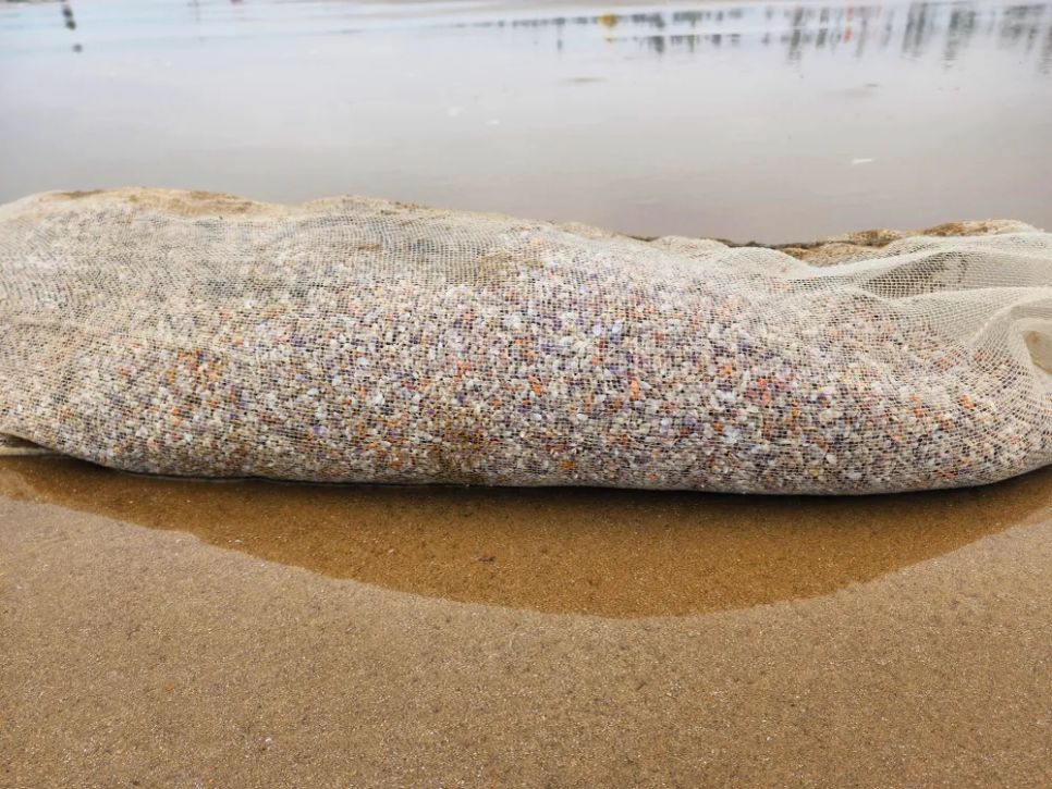 Ốc tép được đưa lên bờ Ốc tép được đưa lên bờ