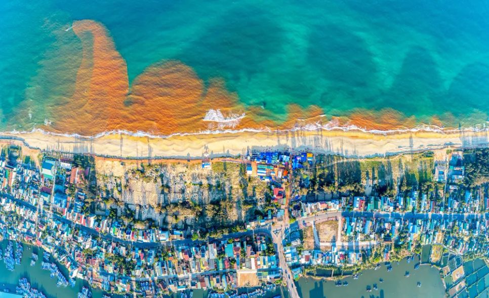 Hiện tượng 'thủy triều đỏ' ở ven biển Tam Quan