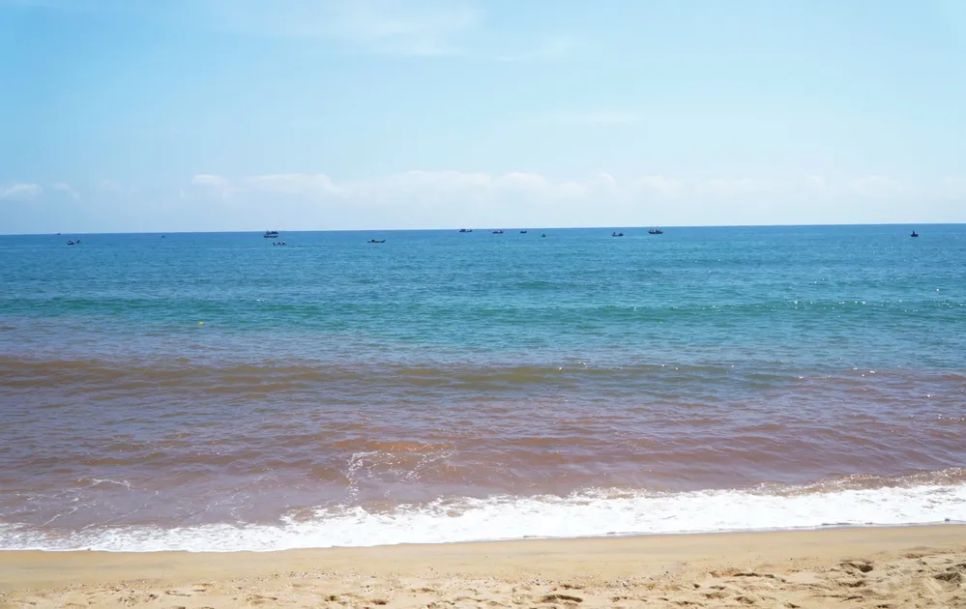 Hiện tượng 'thủy triều đỏ' ở ven biển Tam Quan