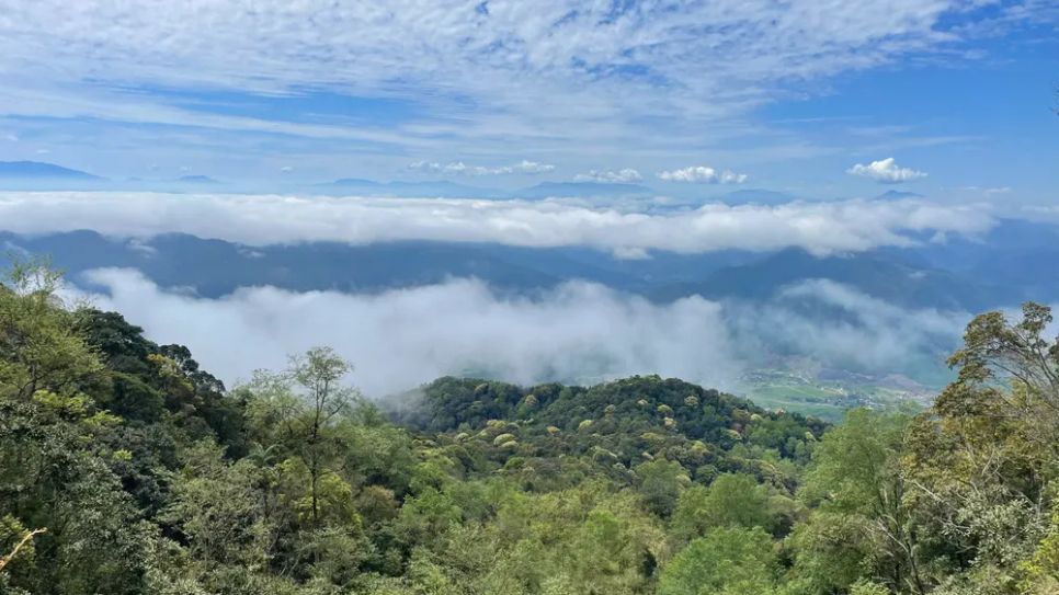 Khu Dự trữ thiên nhiên Phong Điền có tổng diện tích khoảng 40.760,47ha thuộc địa bàn phường Phong Điền và một phần xã A Lưới 1 và A Lưới 5 của TP Huế Khu Dự trữ thiên nhiên Phong Điền có tổng diện tích khoảng 40.760,47ha thuộc địa bàn phường Phong Điền và một phần xã A Lưới 1 và A Lưới 5 của TP Huế