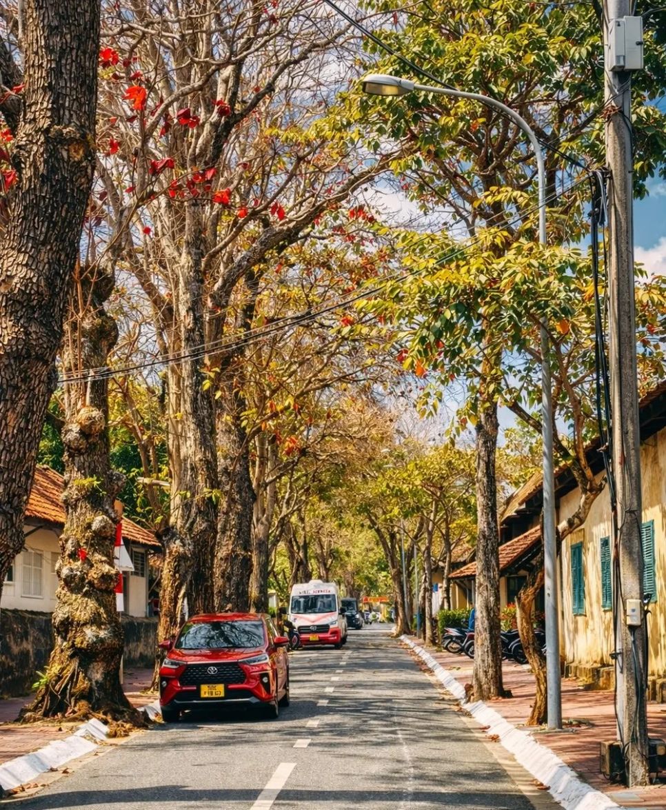 Mùa bàng thay lá Côn Đảo càng trở nên đẹp hơn, thơ mộng và trầm mặc hơn. Ảnh: PHONG CÔN ĐẢO Mùa bàng thay lá Côn Đảo càng trở nên đẹp hơn, thơ mộng và trầm mặc hơn. Ảnh: PHONG CÔN ĐẢO