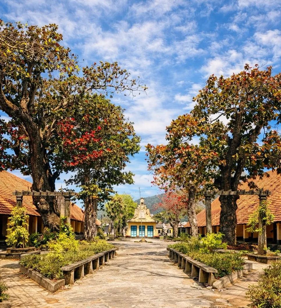 Những dãy bàng cổ thụ nằm trong khuôn viên di tích nhà tù Côn Đảo đang thay lá. Ảnh: PHONG CÔN ĐẢO Những dãy bàng cổ thụ nằm trong khuôn viên di tích nhà tù Côn Đảo đang thay lá. Ảnh: PHONG CÔN ĐẢO