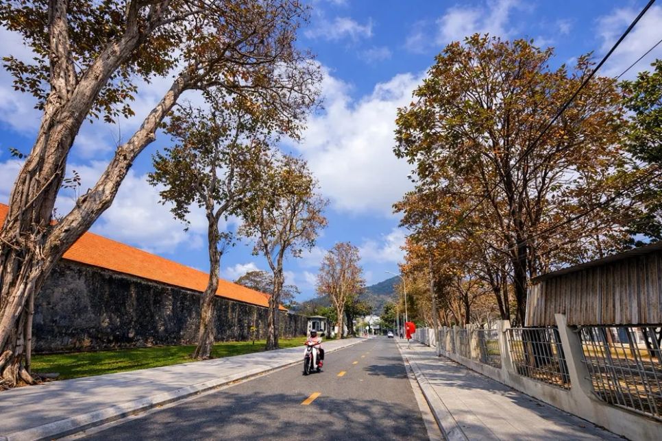 Ở Côn Đảo đâu đâu cũng có bàng. Và mùa này, bàng ở khắp nơi đang vào mùa thay lá. Ảnh: PHONG CÔN ĐẢO Ở Côn Đảo đâu đâu cũng có bàng. Và mùa này, bàng ở khắp nơi đang vào mùa thay lá. Ảnh: PHONG CÔN ĐẢO