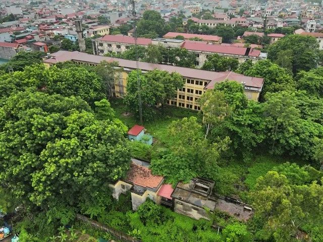 Ảnh minh họa Ảnh minh họa