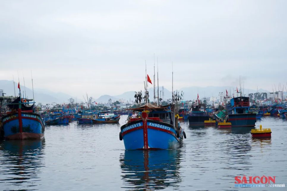 Ngư dân Khánh Hòa trúng đậm cá ngừ đại dương