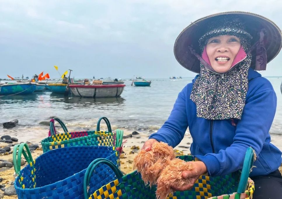 Bà Võ Thị Mai (thôn An Cường, xã Vạn Tường) phấn khởi khi gia đình trúng vụ ruốc. Ảnh: NGUYỄN TRANG Bà Võ Thị Mai (thôn An Cường, xã Vạn Tường) phấn khởi khi gia đình trúng vụ ruốc. Ảnh: NGUYỄN TRANG