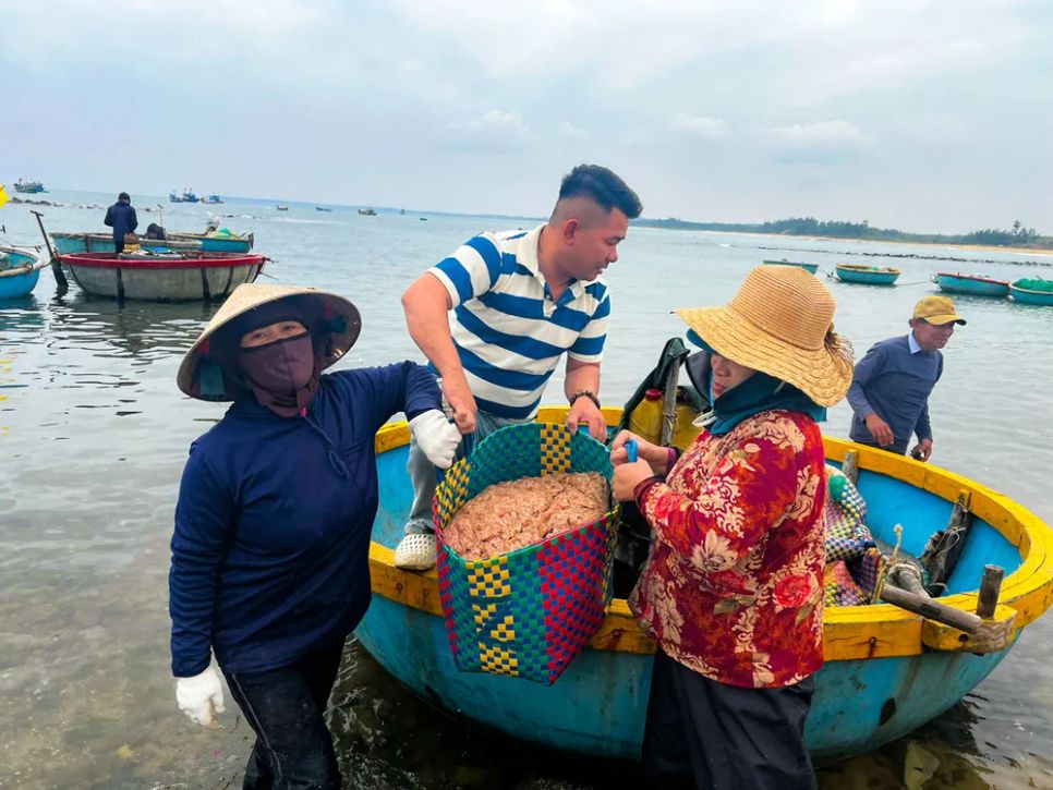 Những chiếc thúng mang theo giỏ ruốc vào bờ để kịp bán cho thương lái. Ảnh: NGUYỄN TRANG Những chiếc thúng mang theo giỏ ruốc vào bờ để kịp bán cho thương lái. Ảnh: NGUYỄN TRANG