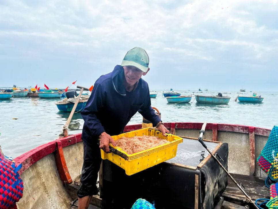 Ruốc biển xuất hiện dày đặc ở các vùng biển An Cường và biển Lệ Thủy, xã Vạn Tường, tỉnh Quảng Ngãi. Ảnh: NGUYỄN TRANG Ruốc biển xuất hiện dày đặc ở các vùng biển An Cường và biển Lệ Thủy, xã Vạn Tường, tỉnh Quảng Ngãi. Ảnh: NGUYỄN TRANG