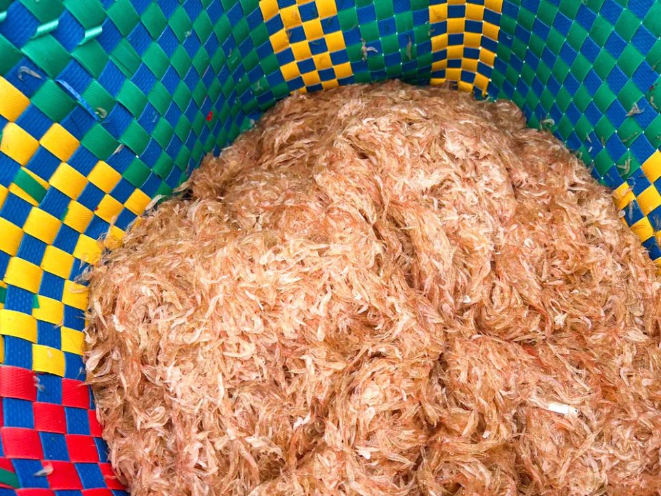 Ruốc ở biển An Cường. Ảnh: NGUYỄN TRANG Ruốc ở biển An Cường. Ảnh: NGUYỄN TRANG