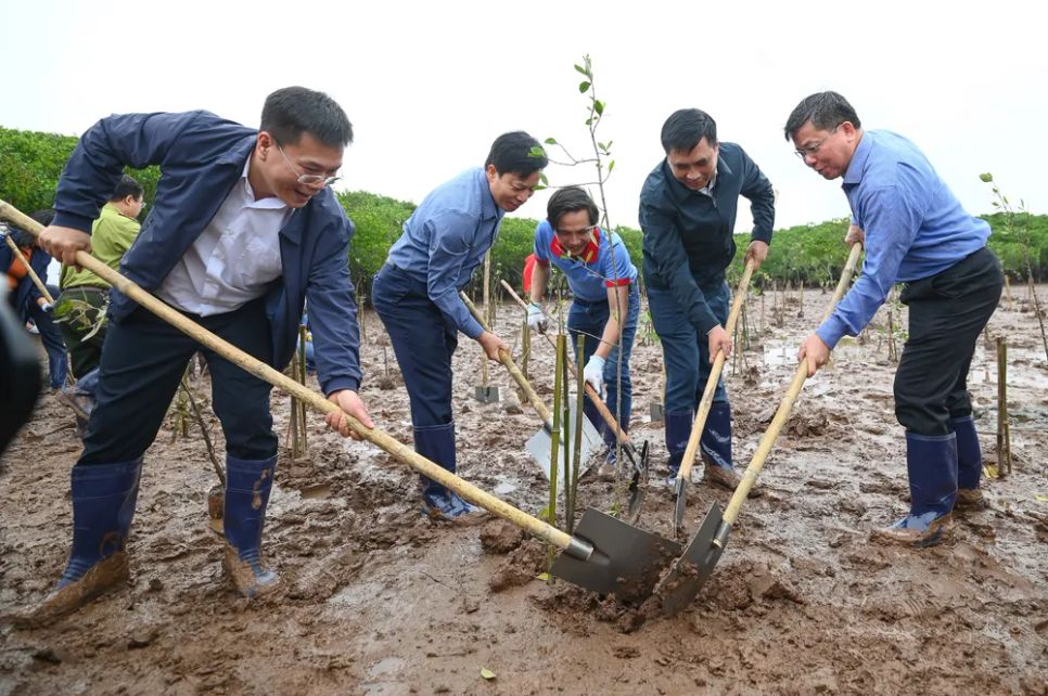 Đại diện các bên cùng trồng cây gây rừng tại vùng đất ngập nước Thái Thụy. Ảnh: ĐINH TÙNG Đại diện các bên cùng trồng cây gây rừng tại vùng đất ngập nước Thái Thụy. Ảnh: ĐINH TÙNG