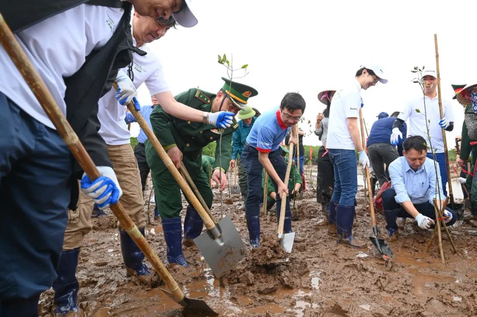 Sau lễ phát động, 9.000 cây sú, vẹt, bần được trồng chắn sóng tại xã Đông Thụy Anh (tỉnh Hưng Yên) sáng 28-2 Sau lễ phát động, 9.000 cây sú, vẹt, bần được trồng chắn sóng tại xã Đông Thụy Anh (tỉnh Hưng Yên) sáng 28-2