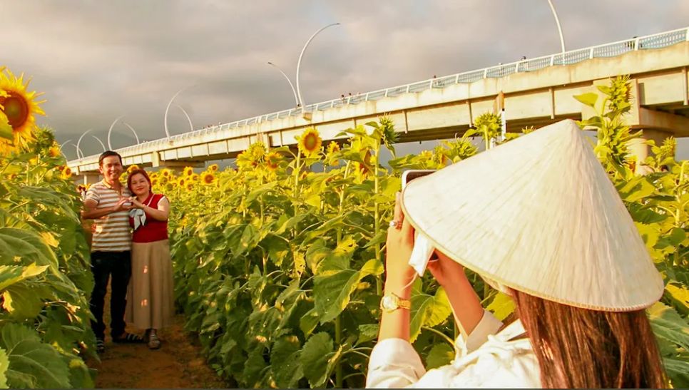 Khoảng cách giữa các luống hoa được bố trí hợp lý, tạo lối đi thuận tiện để du khách dễ dàng di chuyển