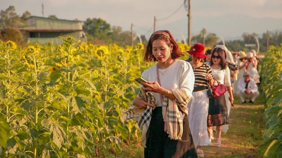 Ngay từ sáng sớm, đông đảo du khách tìm về Vu Gia để tham quan, chụp ảnh và tận hưởng không khí trong lành cuối tuần