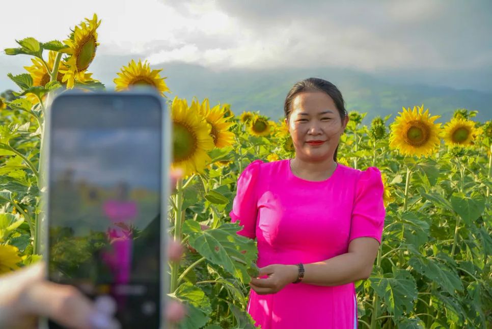 Vu Gia rực sắc hướng dương, điểm hẹn check-in cuối tuần ở Đà Nẵng