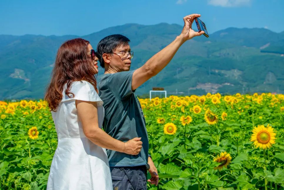 Vu Gia rực sắc hướng dương, điểm hẹn check-in cuối tuần ở Đà Nẵng