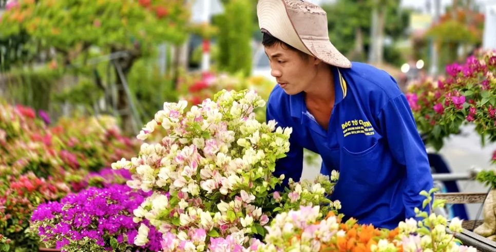 Xã Chợ Lách sẽ xây dựng cơ sở dữ liệu số ngành cây giống – hoa kiểng. Ảnh: TÍN HUY Xã Chợ Lách sẽ xây dựng cơ sở dữ liệu số ngành cây giống – hoa kiểng. Ảnh: TÍN HUY