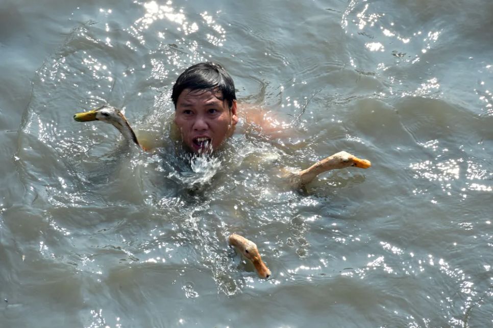 Người dân lội nước, bắt vịt cầu may đầu năm tại lễ hội Làm Chay, Tây Ninh Người dân lội nước, bắt vịt cầu may đầu năm tại lễ hội Làm Chay, Tây Ninh