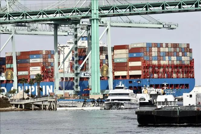 Cảng container hàng hóa tại Los Angeles, Mỹ. THX/TTXVN Cảng container hàng hóa tại Los Angeles, Mỹ. THX/TTXVN