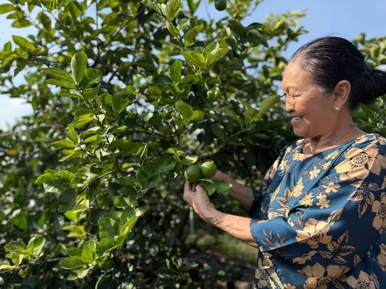 Tín hiệu tích cực cho xuất khẩu nông lâm thủy sản