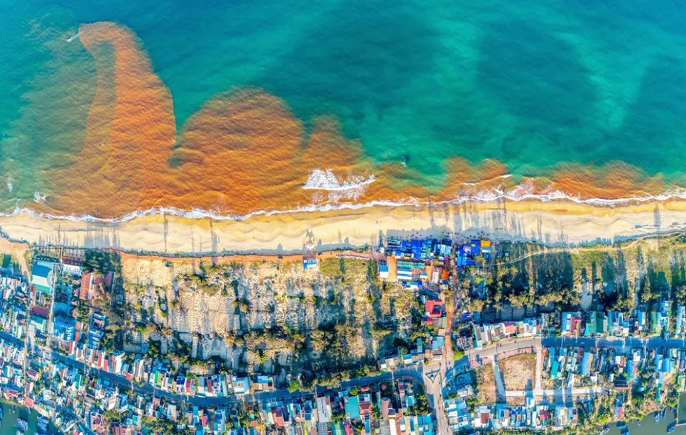 Hiện trường nước biển bất ngờ đổi màu đỏ nâu trải dài ven bờ biển Tam Quan (phường Hoài Nhơn Bắc, Gia Lai)