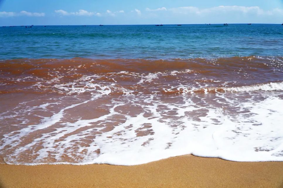 Hiện trường nước biển bất ngờ đổi màu đỏ nâu trải dài ven bờ biển Tam Quan (phường Hoài Nhơn Bắc, Gia Lai)