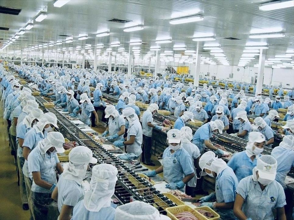 Doanh nghiệp thủy sản, vốn đã quen với các vụ kiện chống bán phá giá kéo dài nhiều năm, không còn coi đây là cú sốc, mà là một phần của 